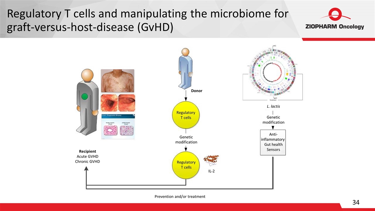 Slide 34