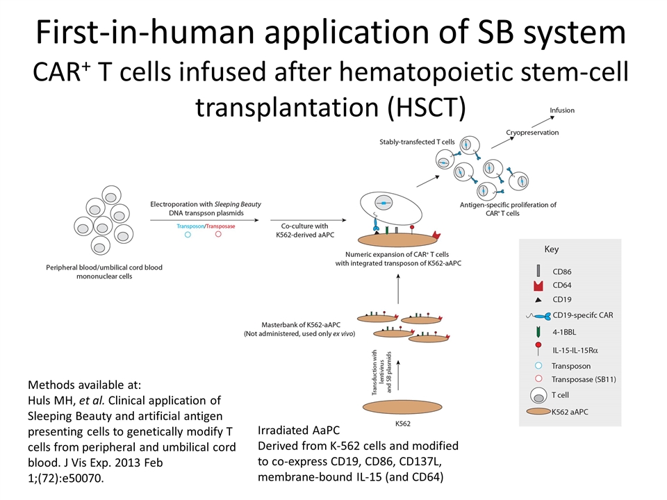 Slide 10