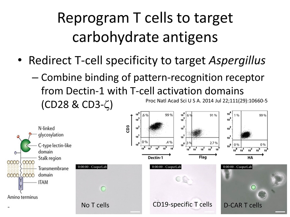 Slide 12