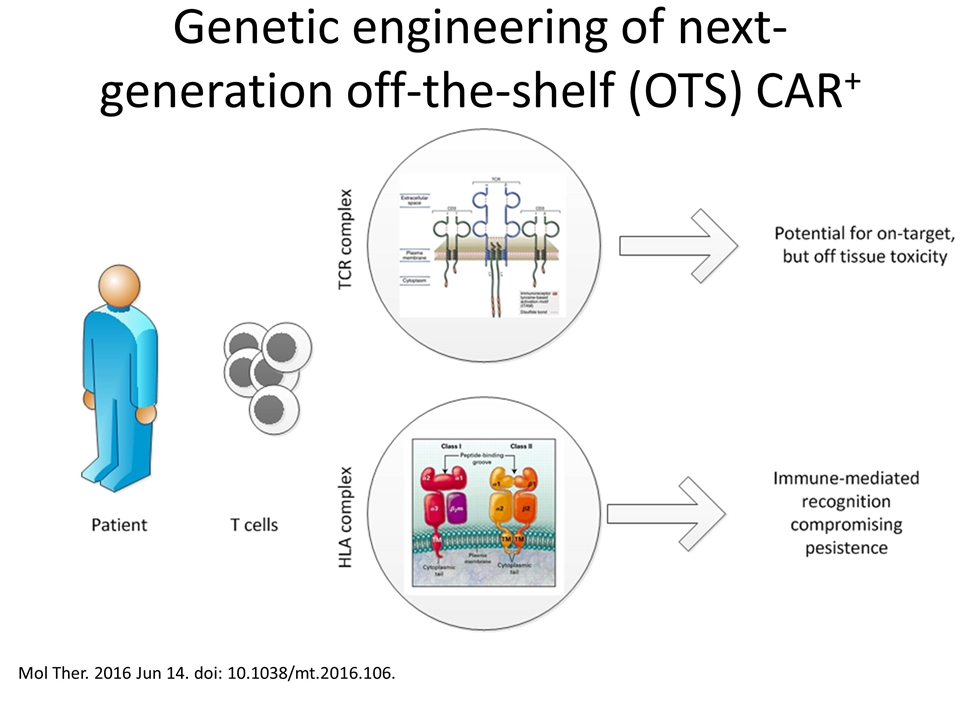 Slide 13