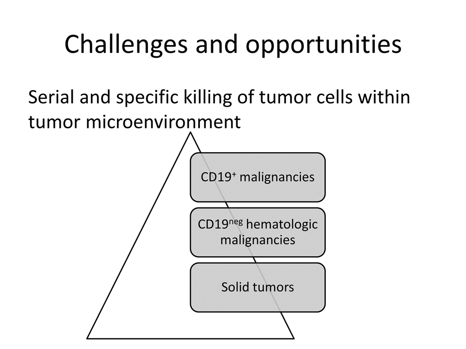 Slide 14