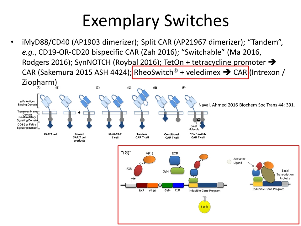 Slide 15