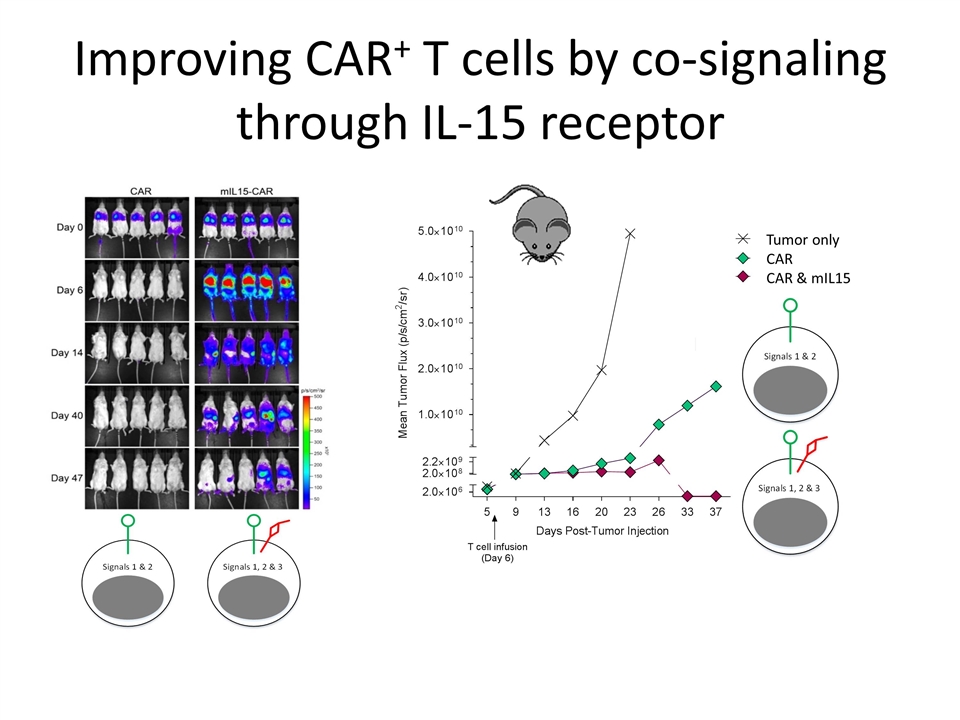 Slide 23