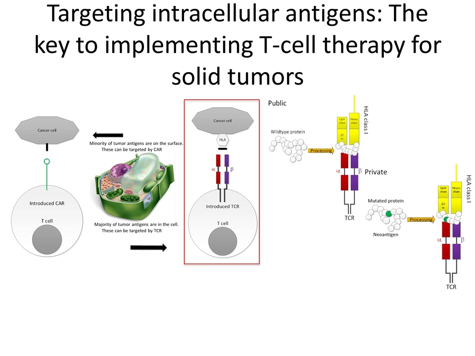 Slide 25