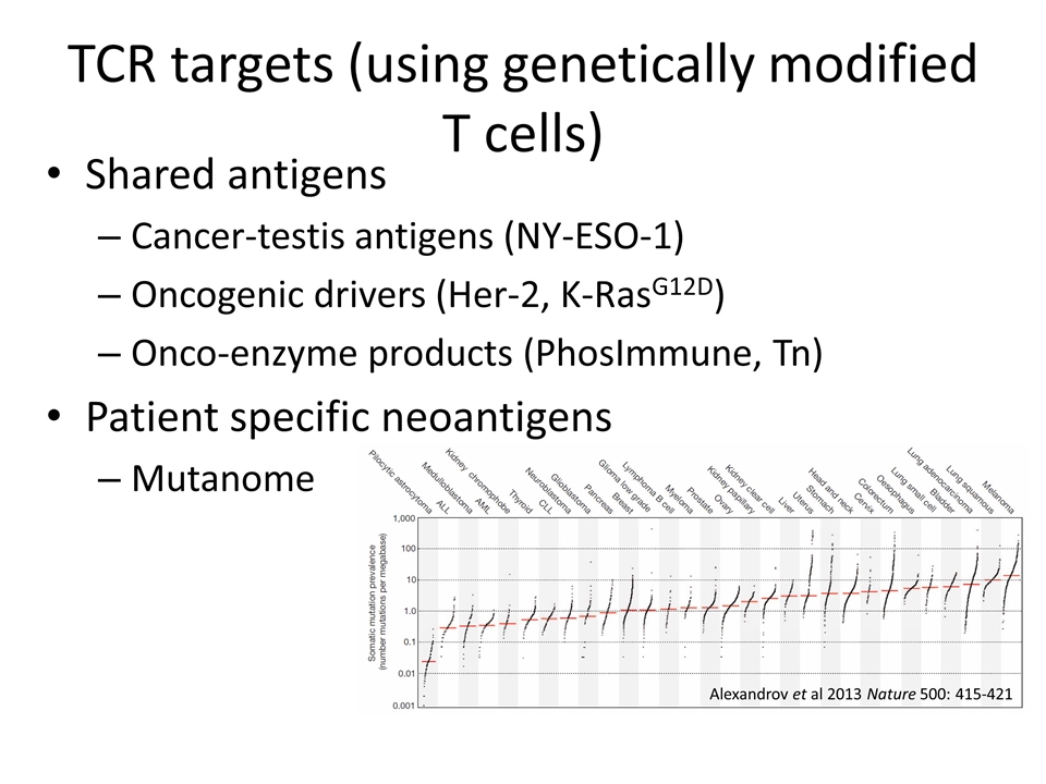 Slide 26