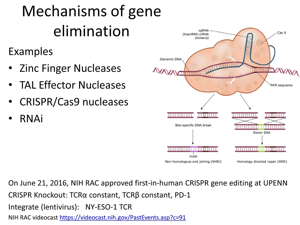 Slide 7