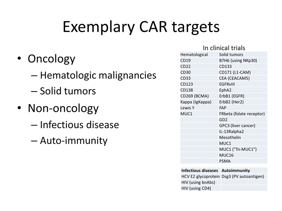 Slide 8