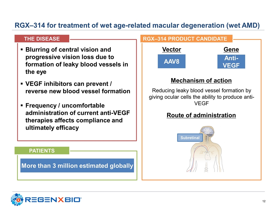 Slide 12