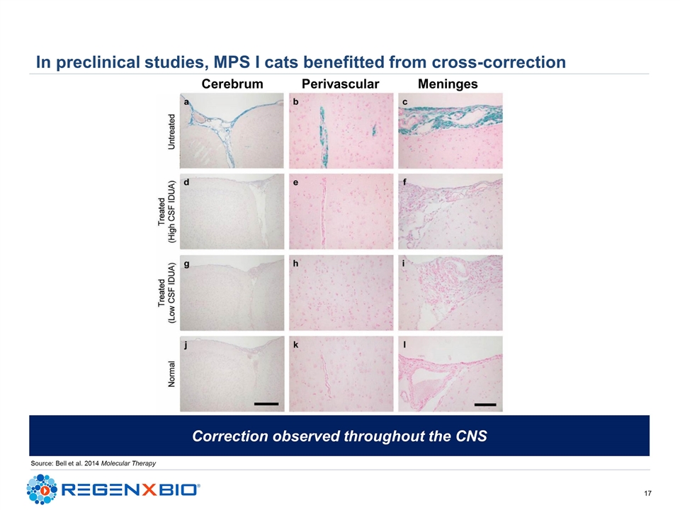 Slide 17