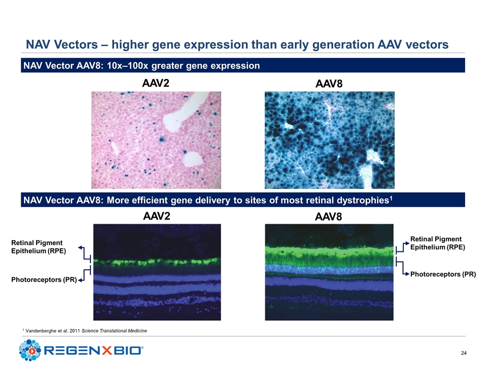 Slide 24