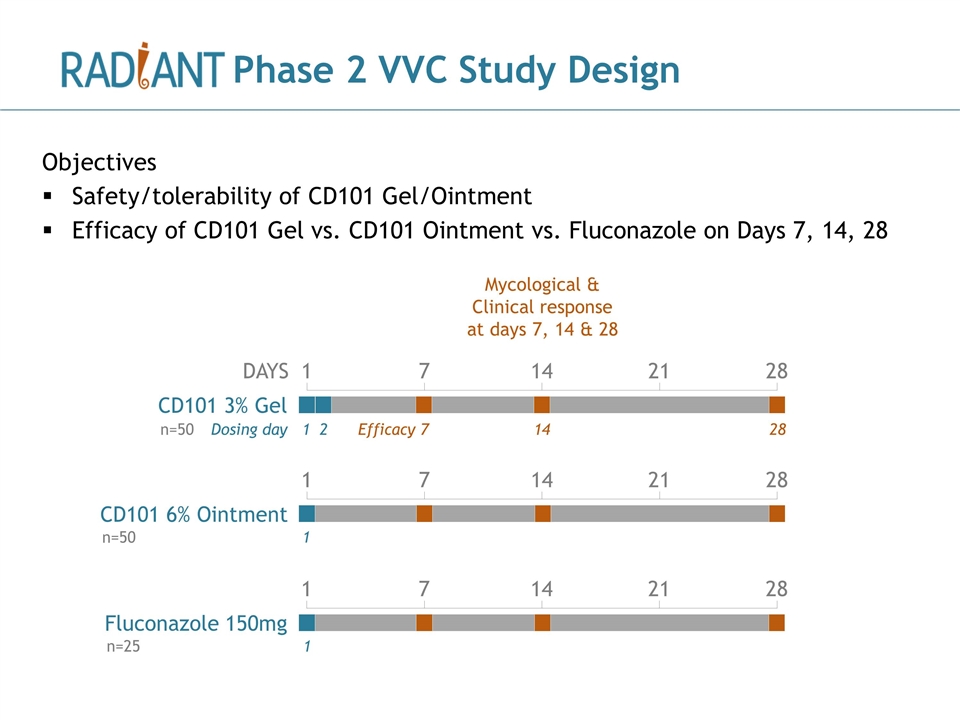 Slide 15