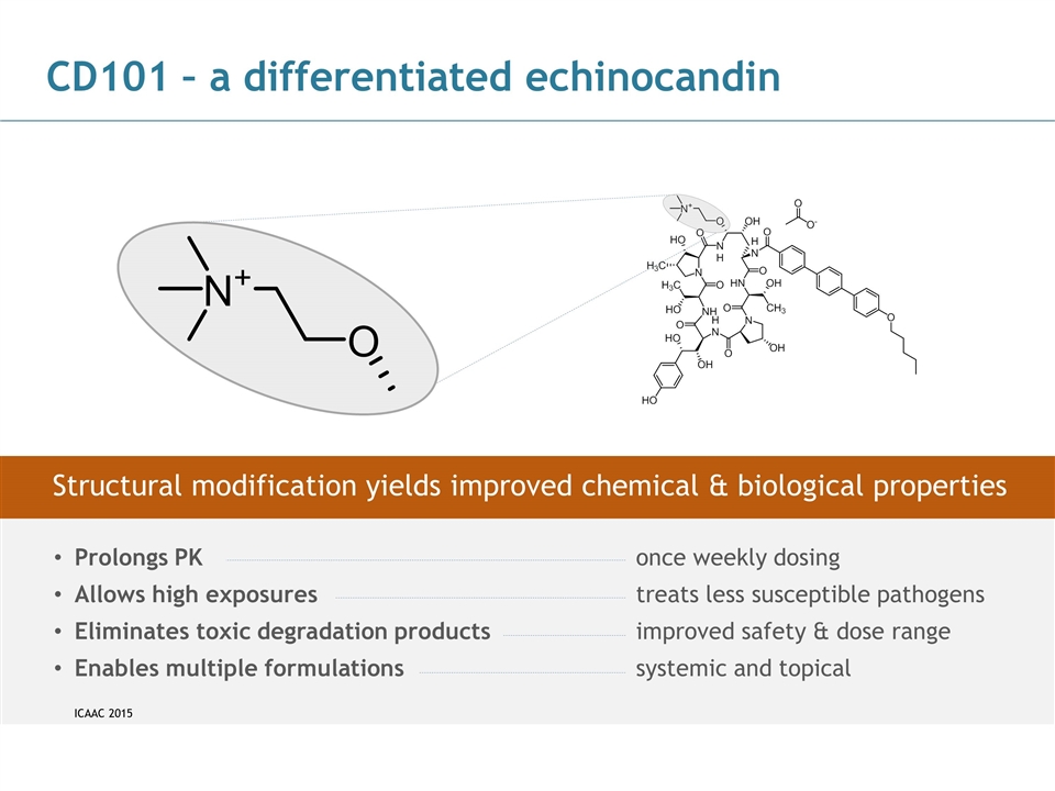 Slide 7