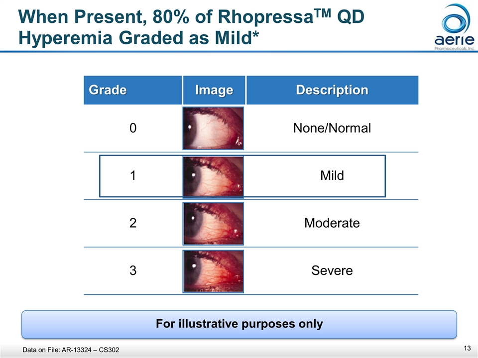 Slide 13