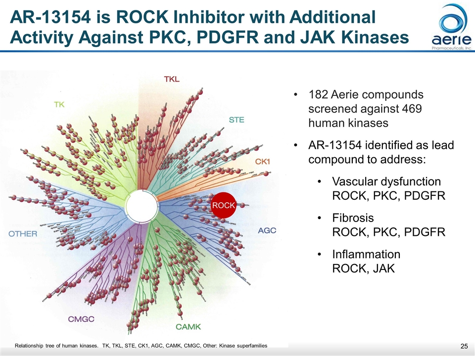 Slide 25