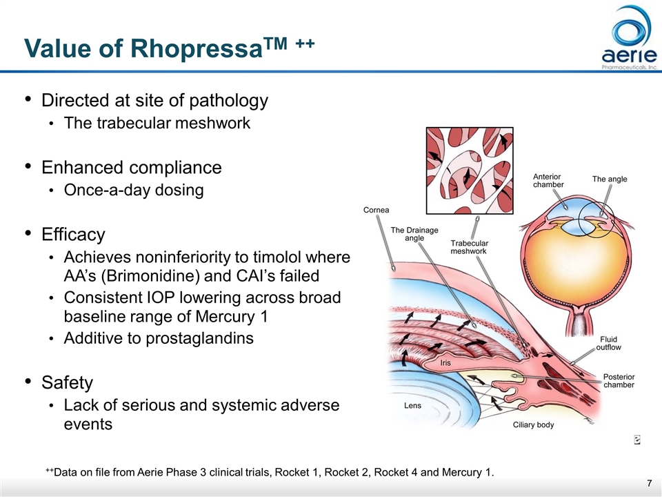 Slide 7