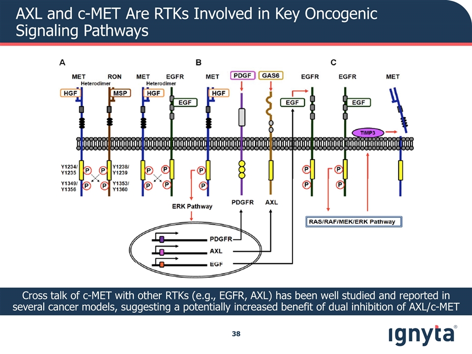 Slide 38