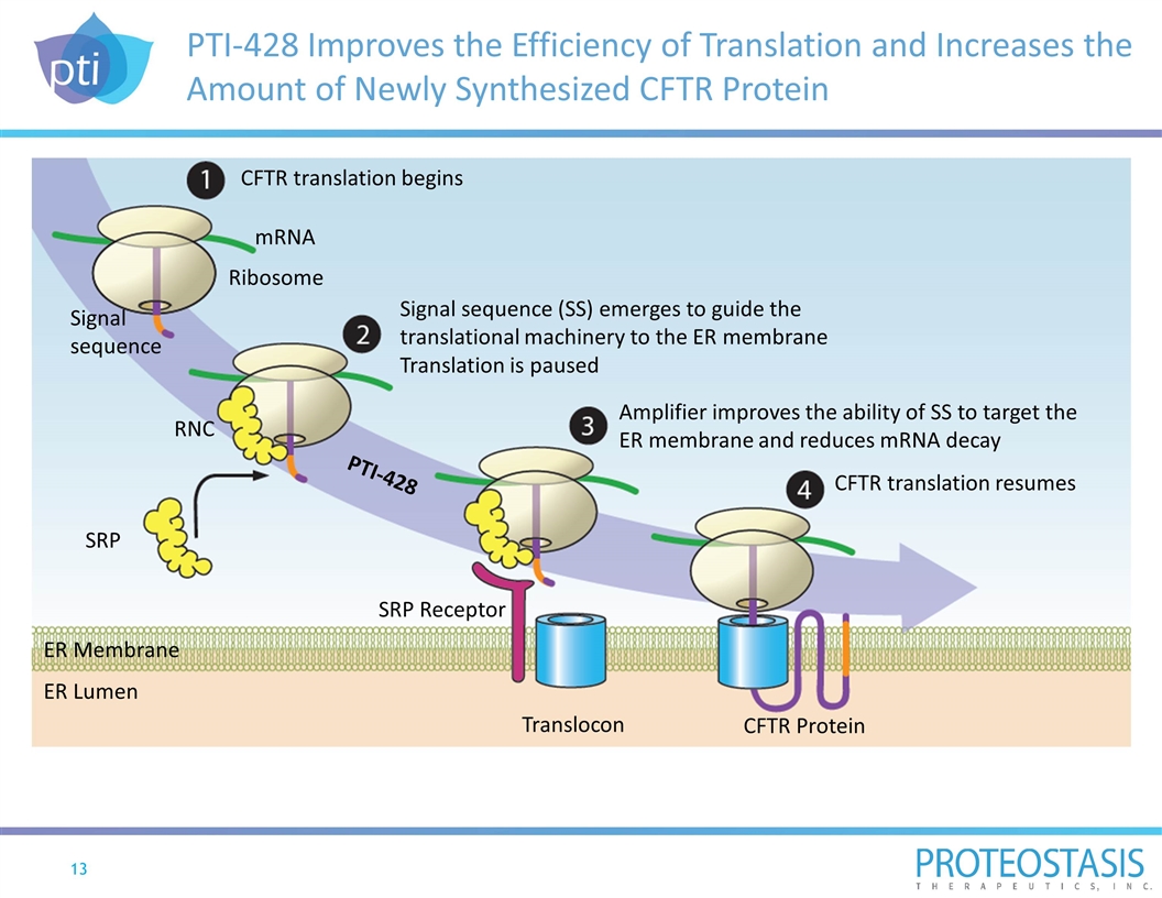 Slide 13