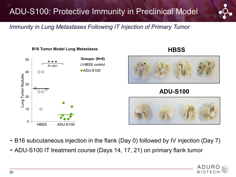 Slide 20