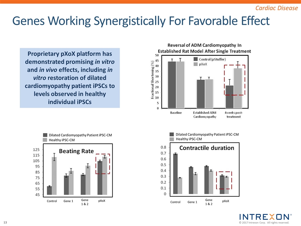 Slide 13