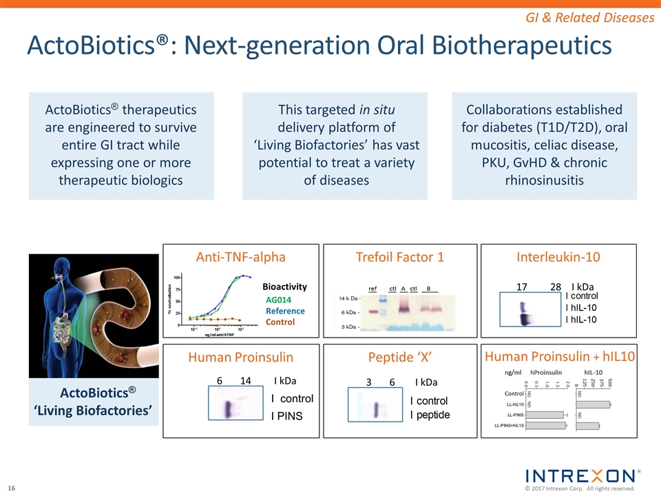 Slide 16