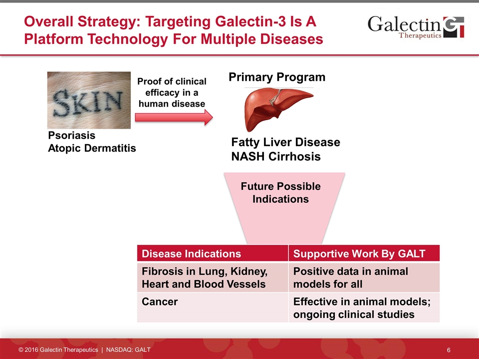 Slide 6