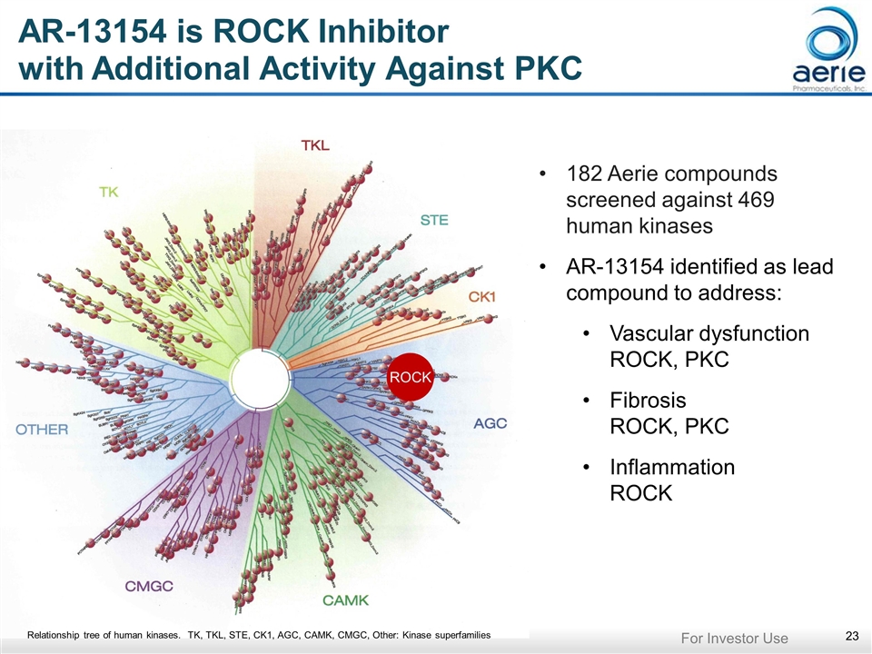 Slide 23