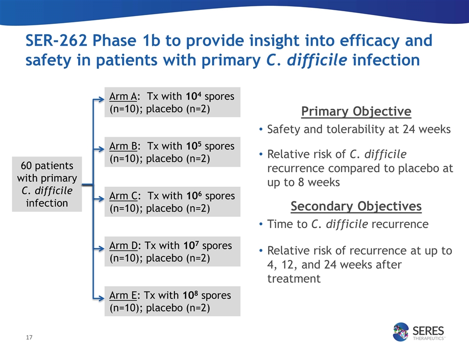 Slide 17