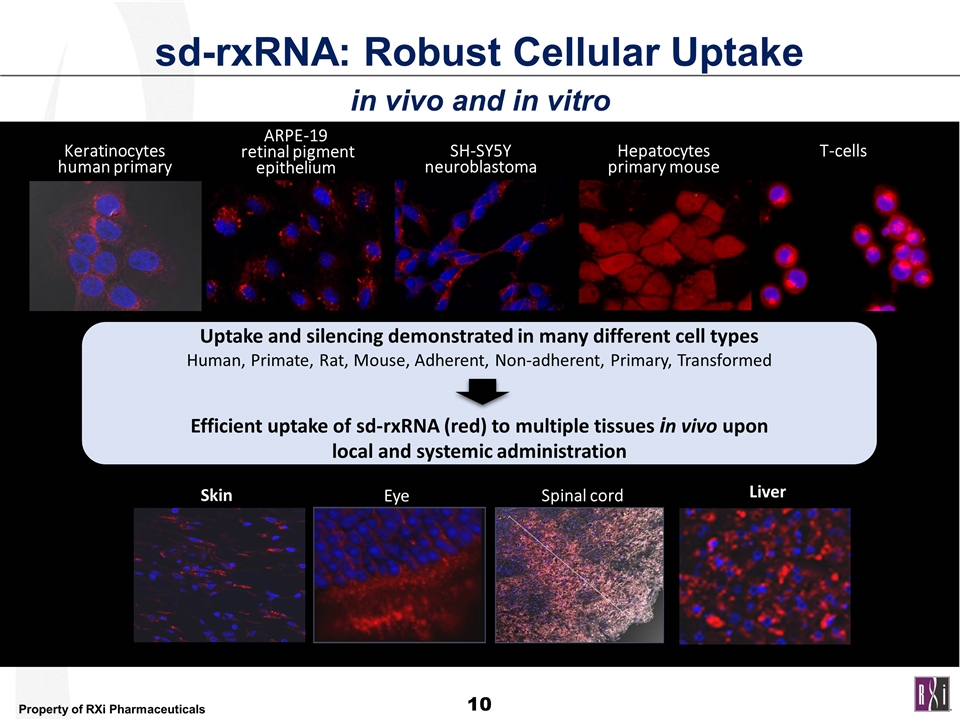 Slide 10