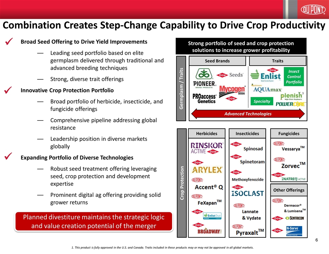 Slide 6