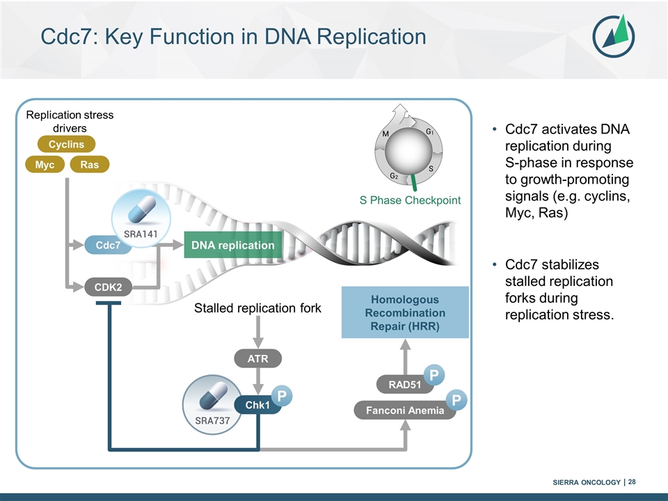 Slide 28