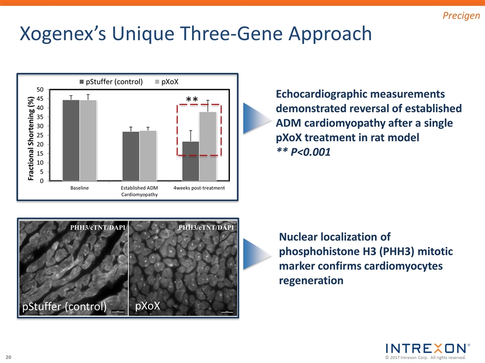 Slide 20