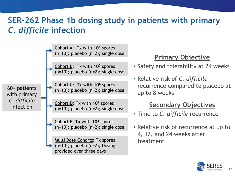 Slide 17