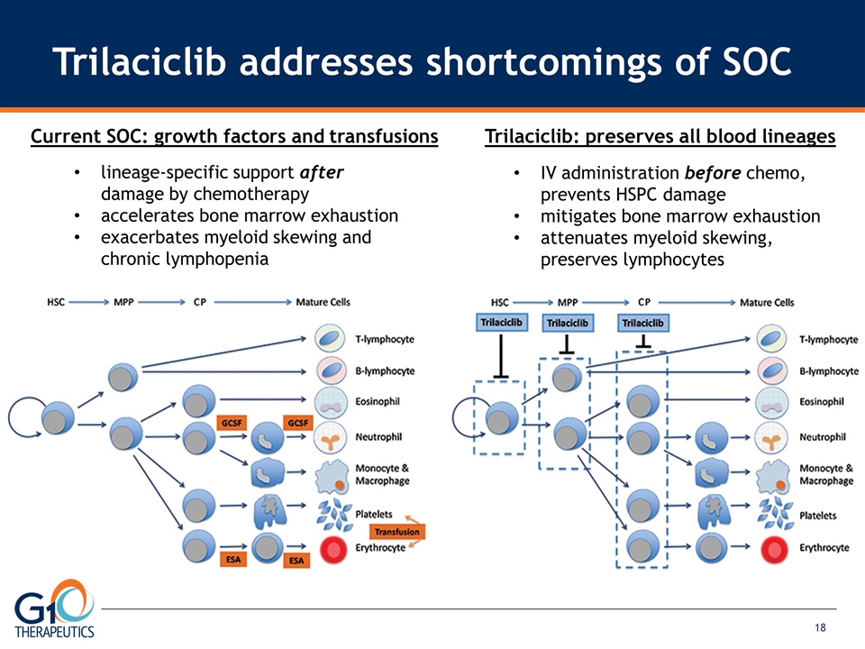 Slide 18