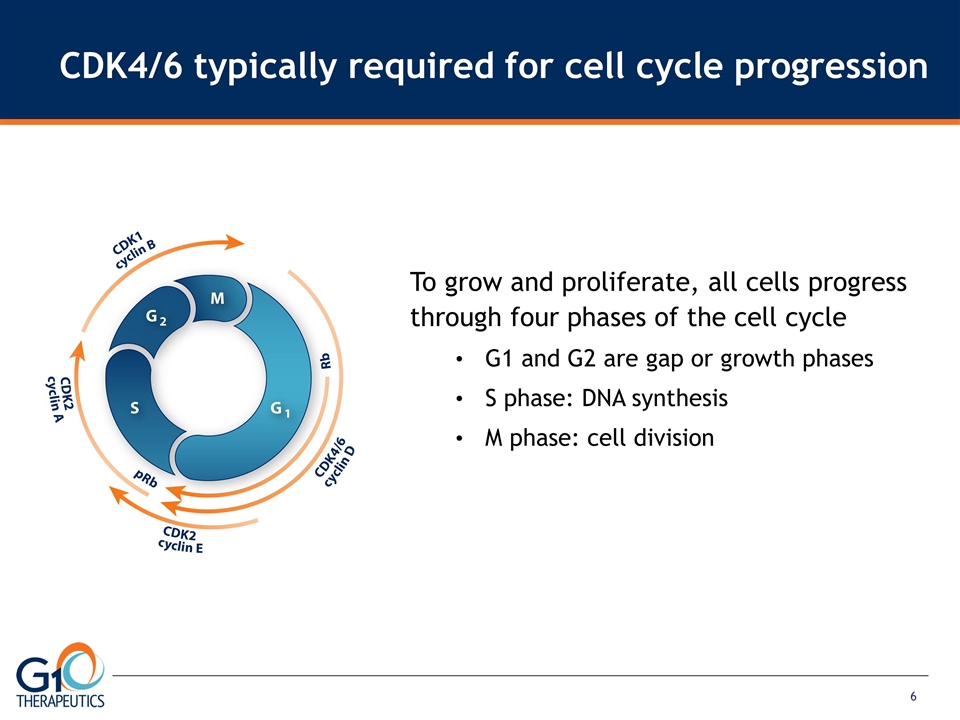 Slide 6