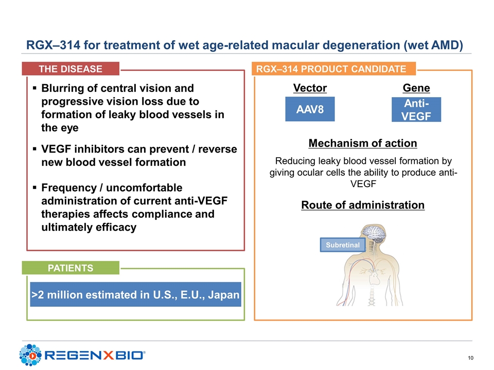 Slide 10