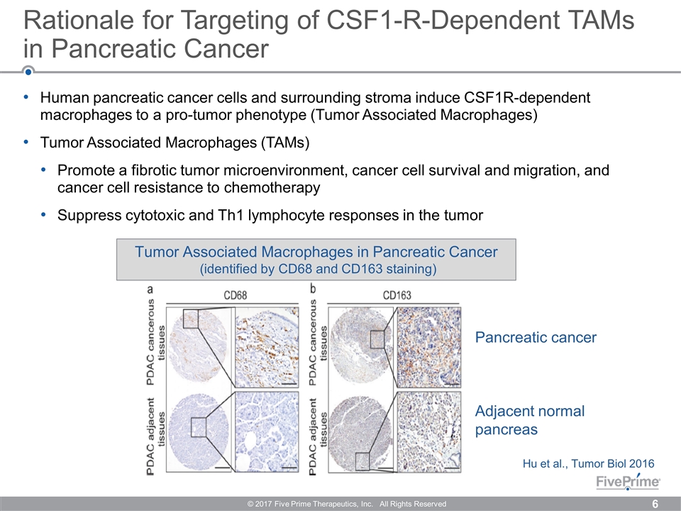 Slide 6