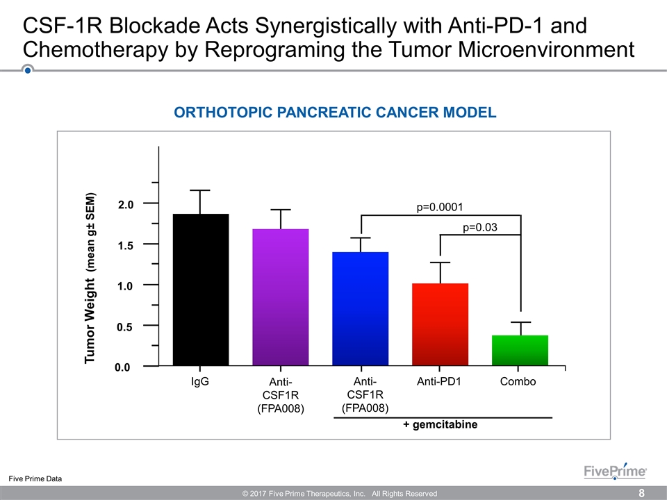 Slide 8