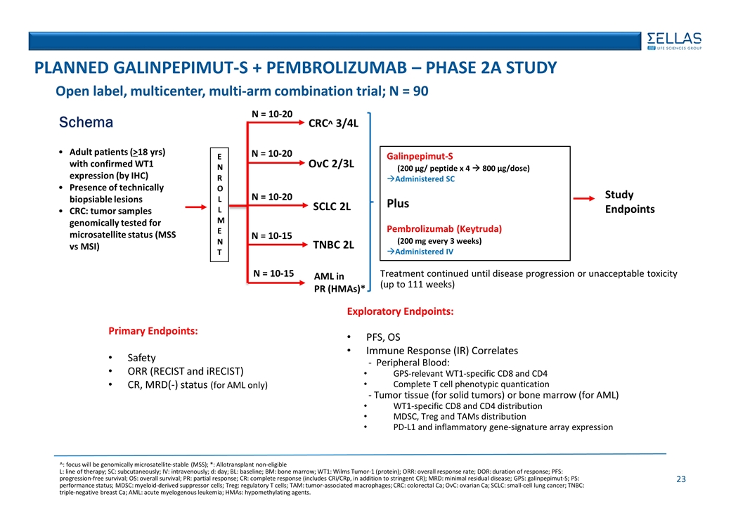 Slide 23