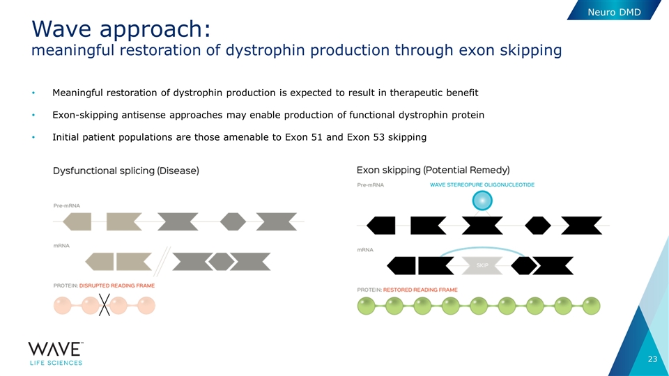 Slide 23