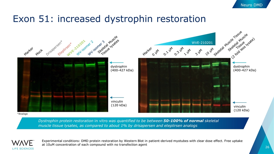 Slide 26