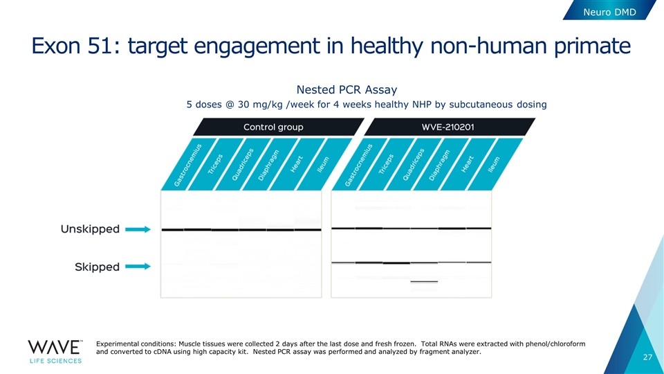 Slide 27