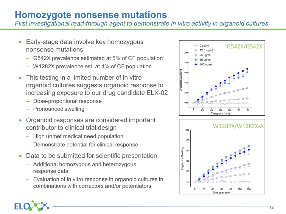 Slide 12