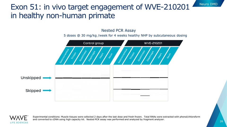 Slide 26