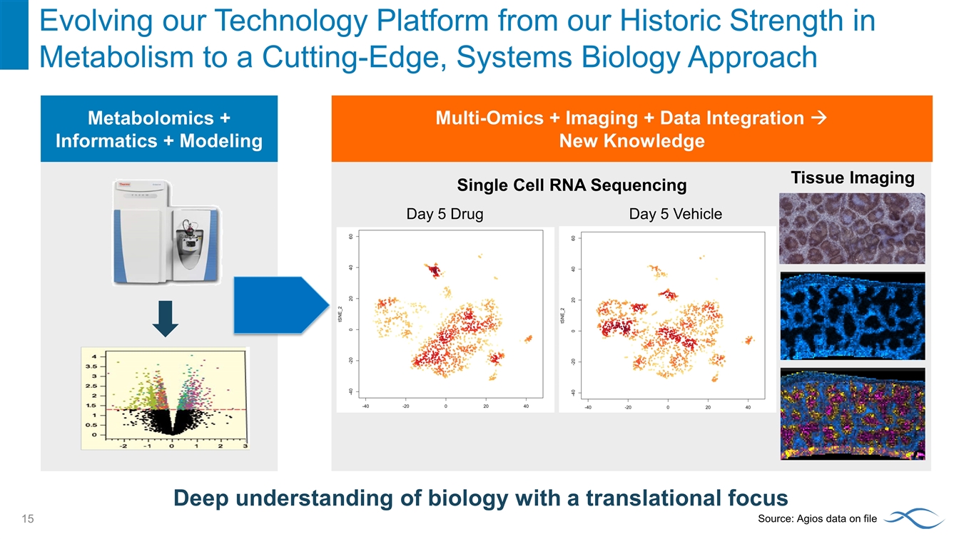 Slide 15