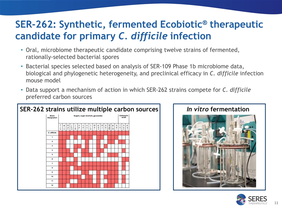 Slide 11