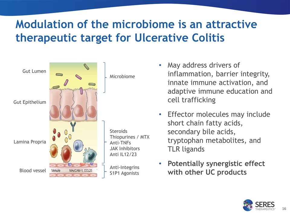 Slide 16