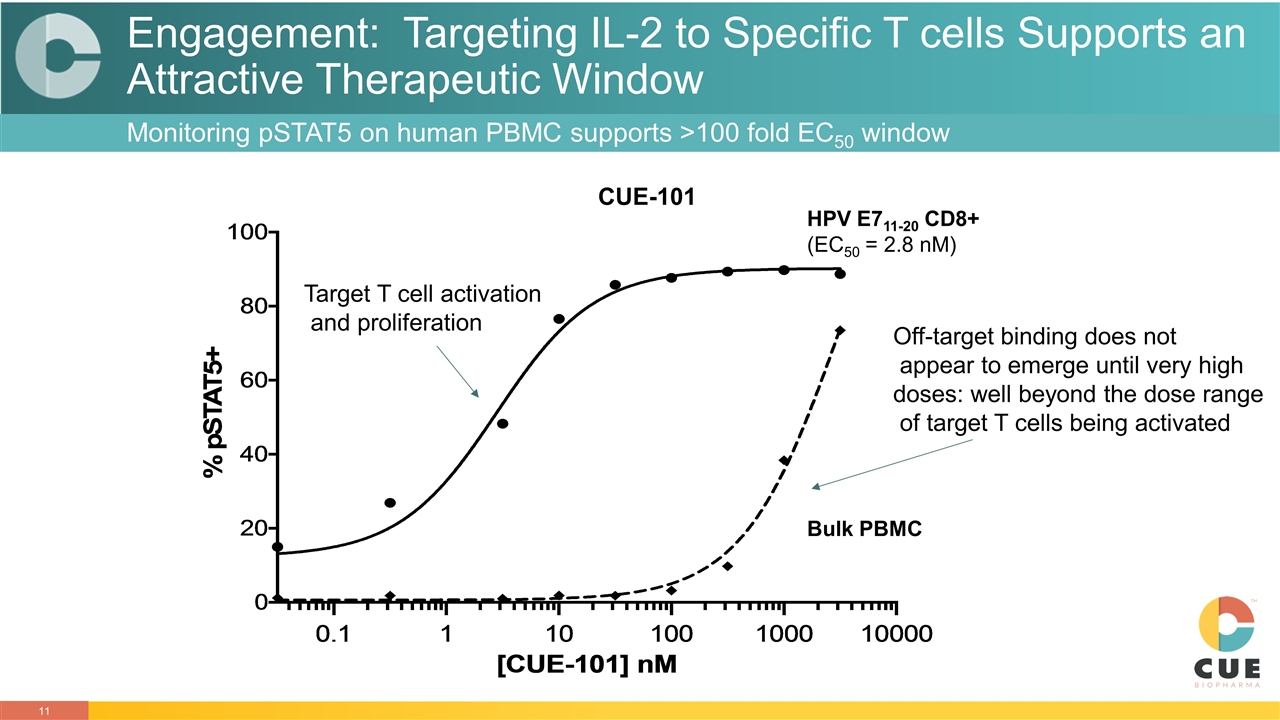 Slide 11