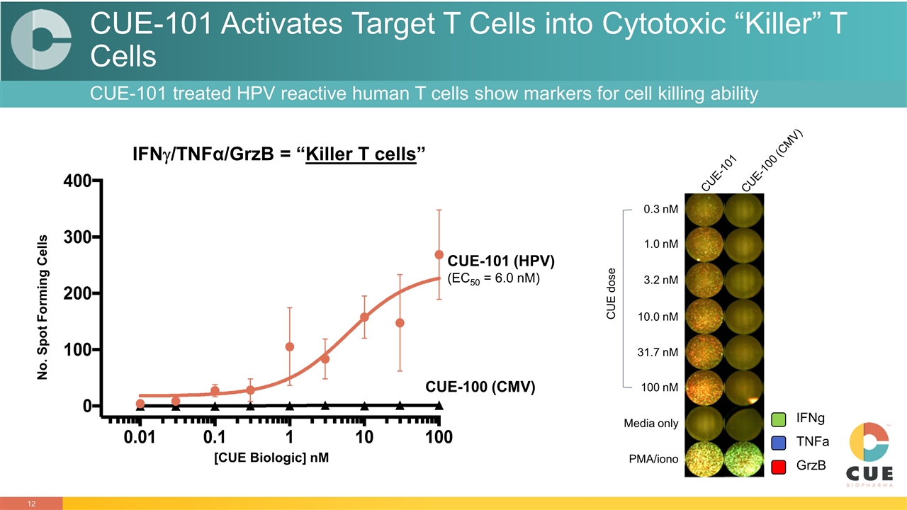 Slide 12