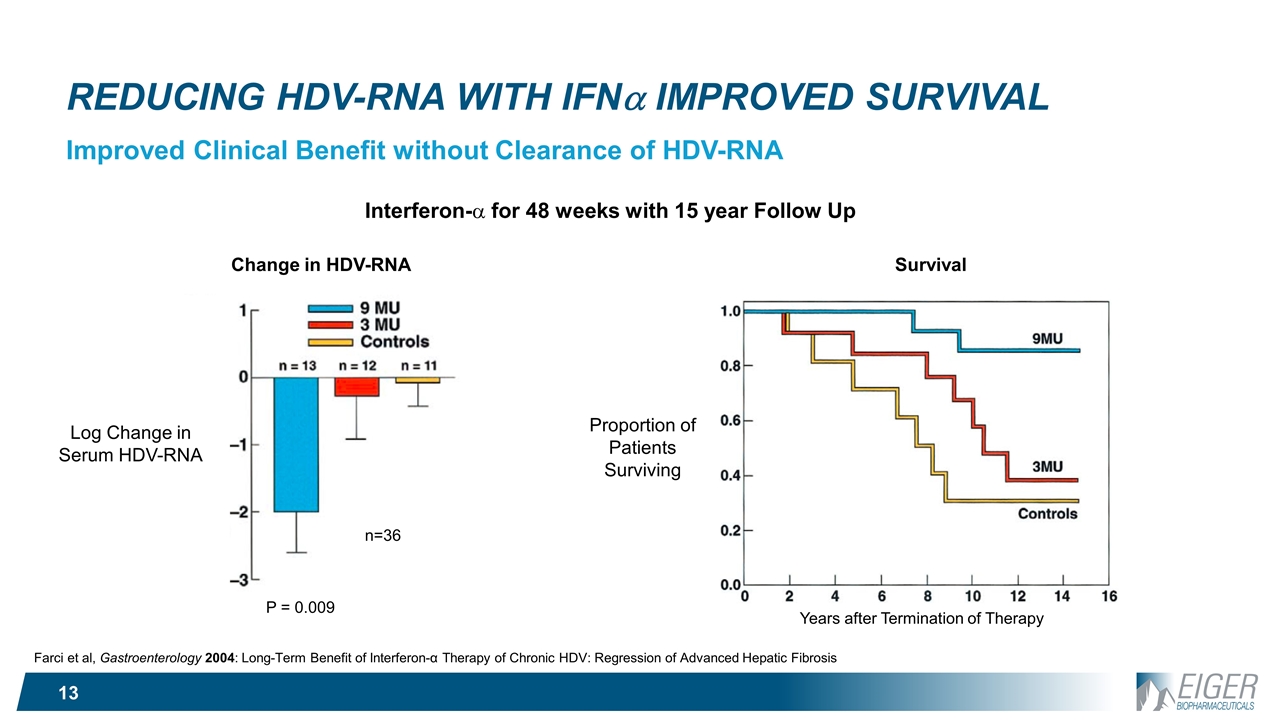 Slide 13