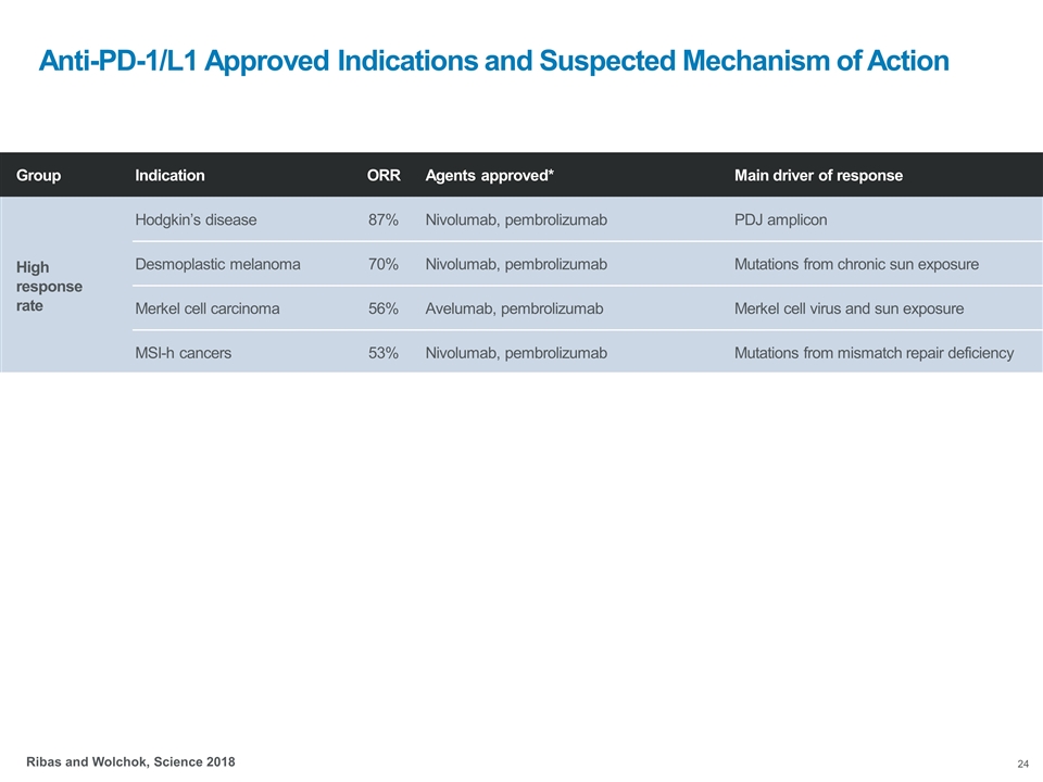 Slide 24